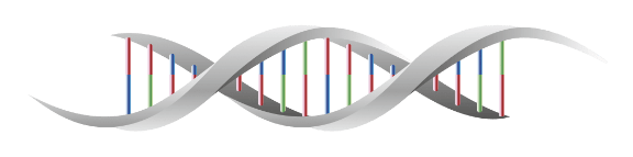 DNA strand